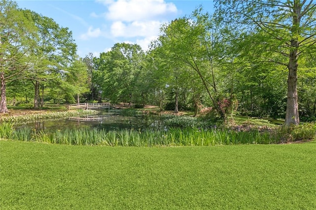 view of yard with a forest view and a water view