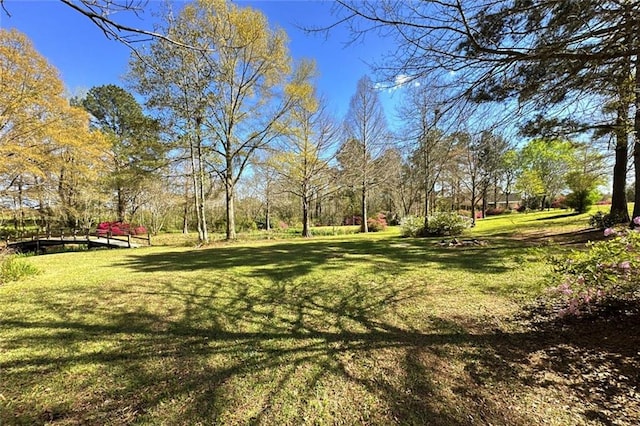 view of yard