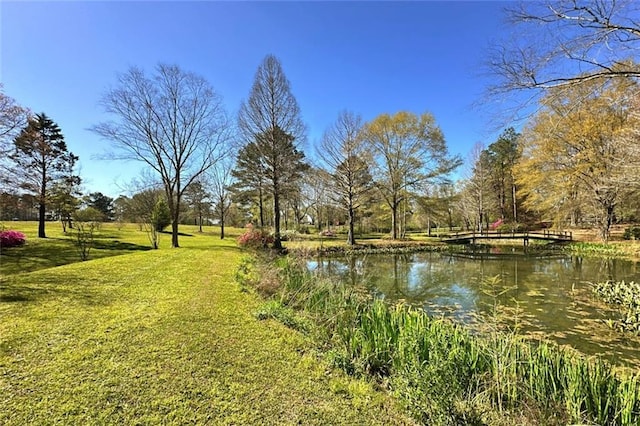 water view