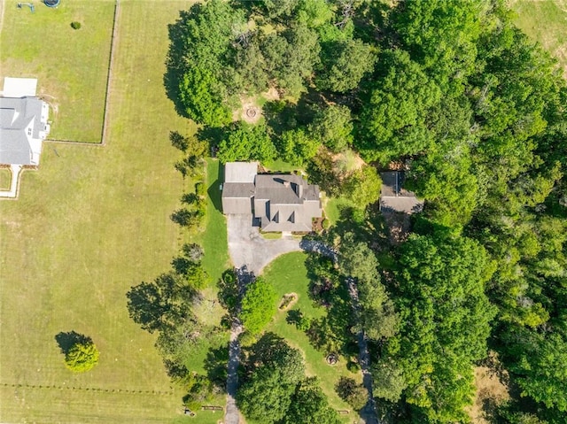 bird's eye view