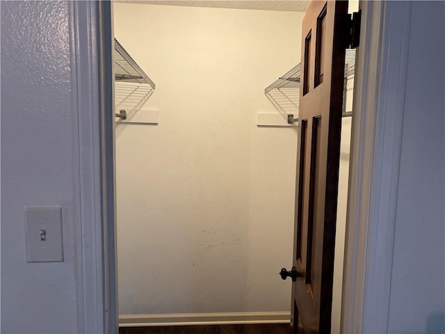spacious closet featuring wood finished floors
