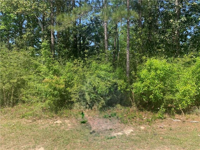 601 Pearl View Ct, Slidell, LA 70461