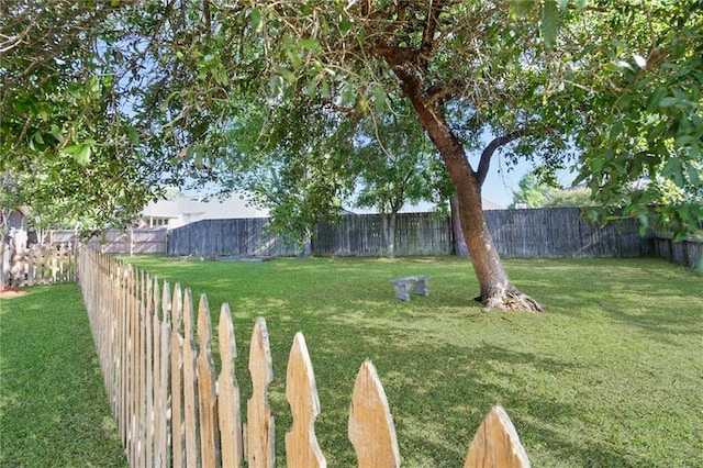 2436 Cours Carson St, Mandeville, LA 70448 - view of yard