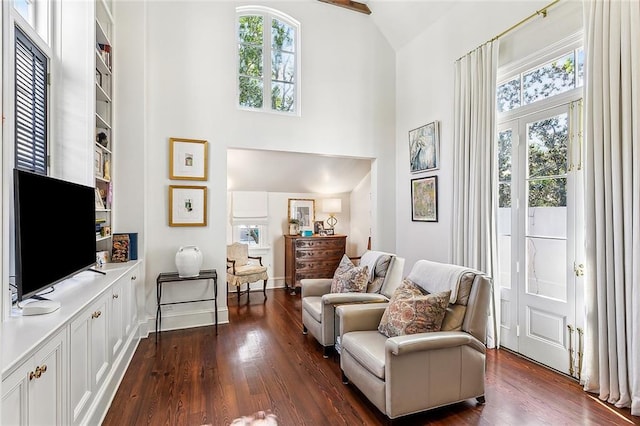 10005 Sauve Oak Ln, River Ridge, LA 70123 - living area featuring baseboards, high vaulted ceiling, and dark wood-style floors