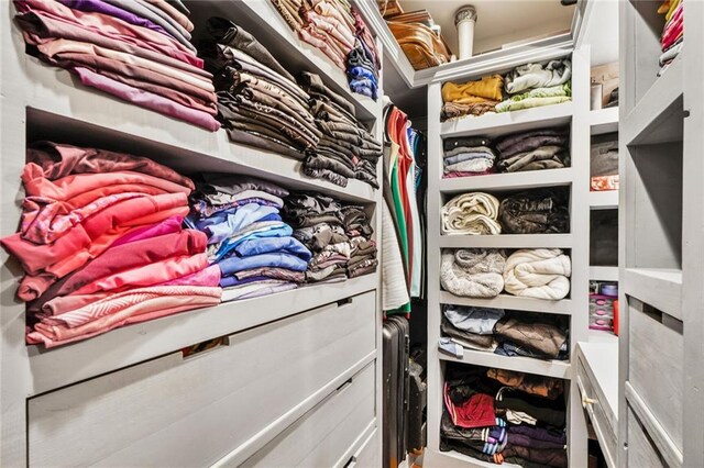 view of walk in closet