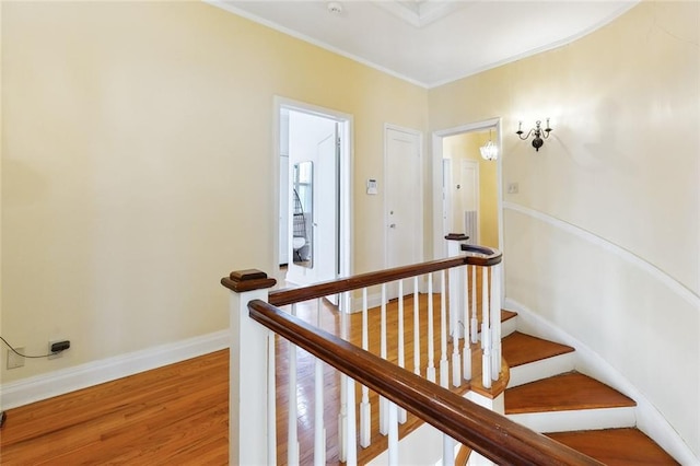3439 Octavia St, New Orleans, LA 70125 - stairway with ornamental molding, baseboards, and wood finished floors