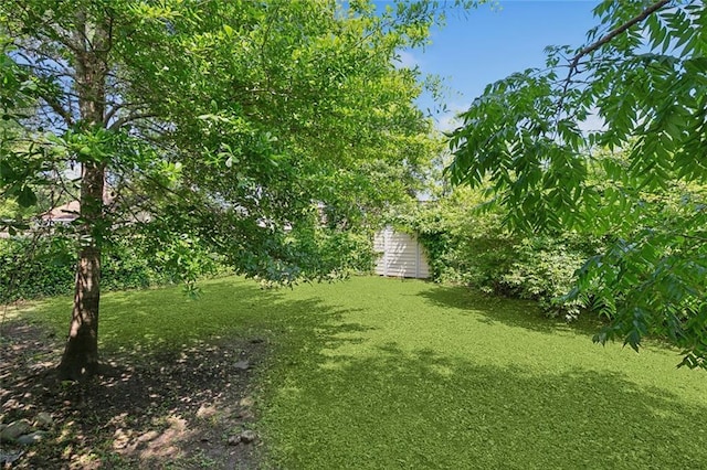 view of yard