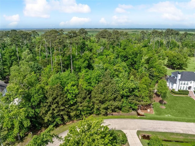 13 Eagle Trce, Mandeville, LA 70471 - photo 1
