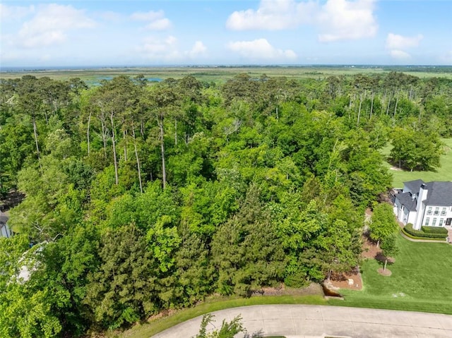 13 Eagle Trce, Mandeville, LA 70471 - photo 2