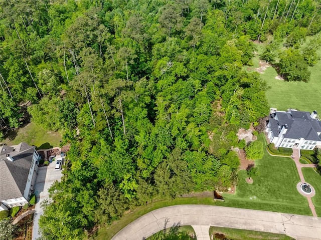 13 Eagle Trce, Mandeville, LA 70471 - photo 4
