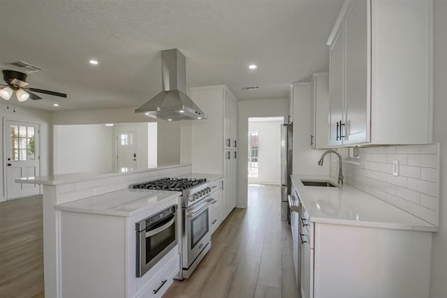 kitchen with range hood, light wood-type flooring, a sink, appliances with stainless steel finishes, and backsplash