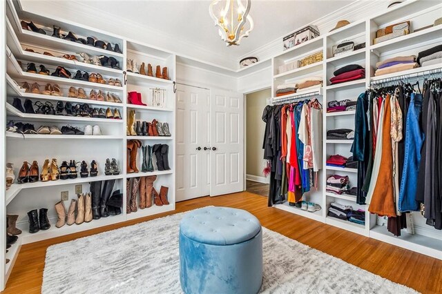 126 Woodchase Dr, Belle Chasse, LA 70037 - walk in closet with a chandelier and wood finished floors