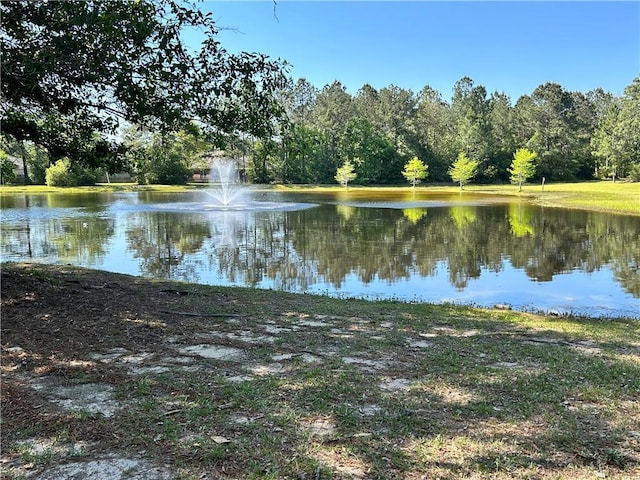 284 Knoll Pine Cir, Covington, LA 70435 - photo 16