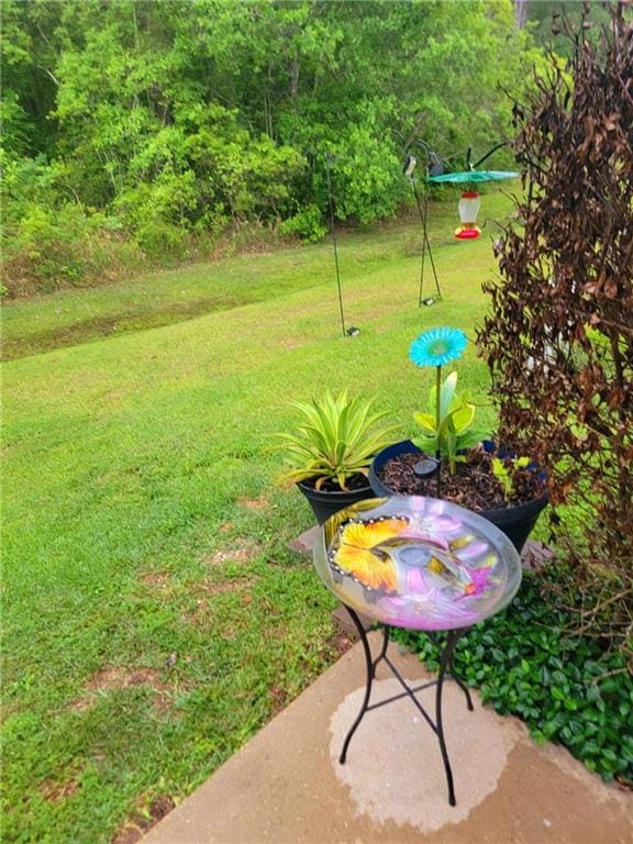 3037 Dundee Loop S, Abita Springs, LA 70420 - photo 17