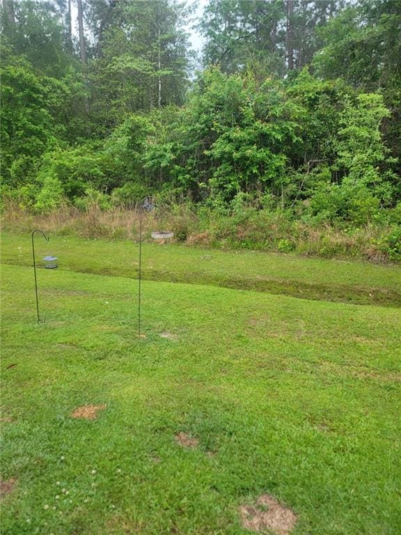 3037 Dundee Loop S, Abita Springs, LA 70420 - photo 18