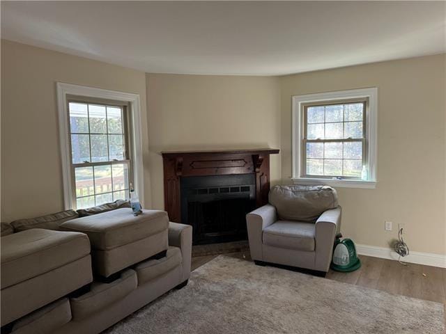 103 Marigold Dr, Covington, LA 70433 - living room with a fireplace, plenty of natural light, wood finished floors, and baseboards