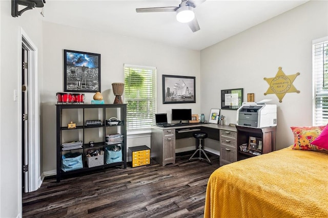 bedroom with a ceiling fan, dark wood-style floors, and multiple windows