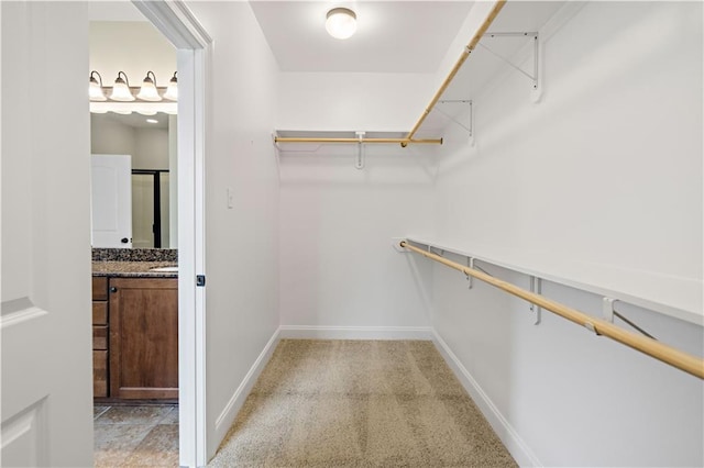spacious closet featuring light carpet