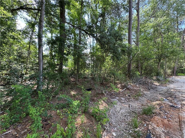 20326 Quincy Ave, Covington, LA 70433 - view of undeveloped land