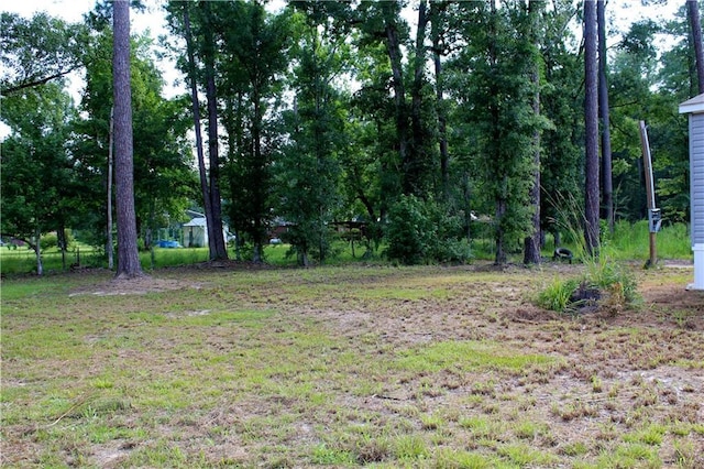 17286 Cypress Ln, Springfield, LA 70462 - photo 18