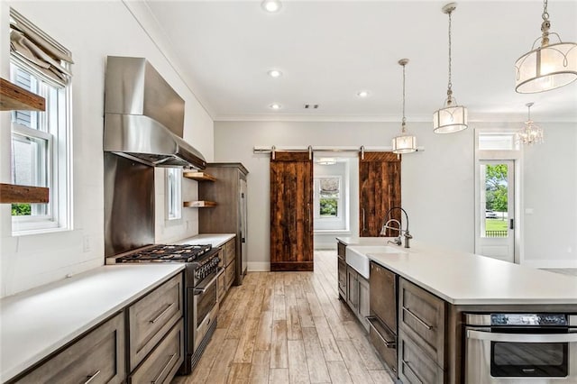 640 Bocage Ct N, Covington, LA 70433 - kitchen featuring appliances with stainless steel finishes, wall chimney exhaust hood, a sink, a barn door, and plenty of natural light