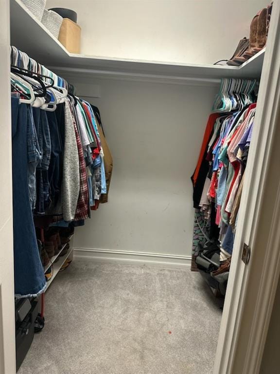 5613 W Esplanade Ave, Metairie, LA 70003 - walk in closet with carpet flooring