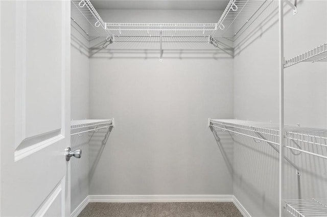 524 Helis Dr, Waggaman, LA 70094 - walk in closet with carpet flooring