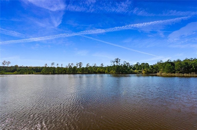 water view featuring a view of trees