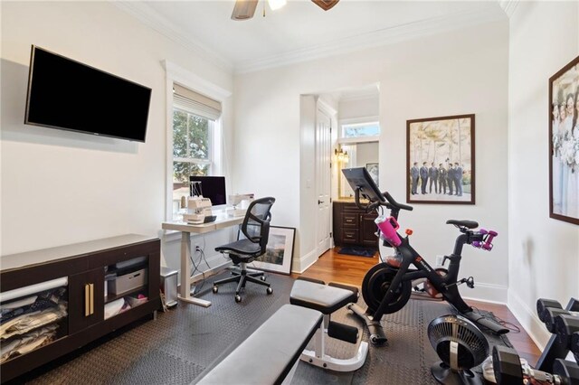 interior space with ceiling fan, baseboards, crown molding, and wood finished floors