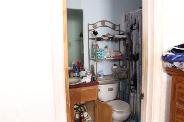 bathroom with toilet and vanity