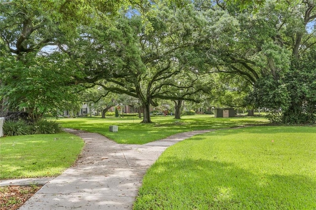 41 Hawk St, New Orleans, LA 70124 - photo 24