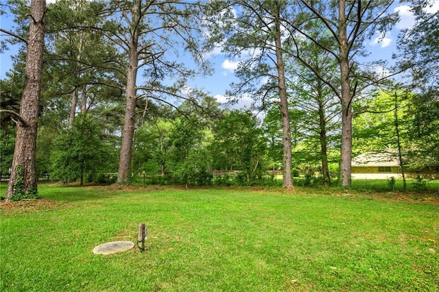 4761 Sharp Rd, Mandeville, LA 70471 - view of grassy yard