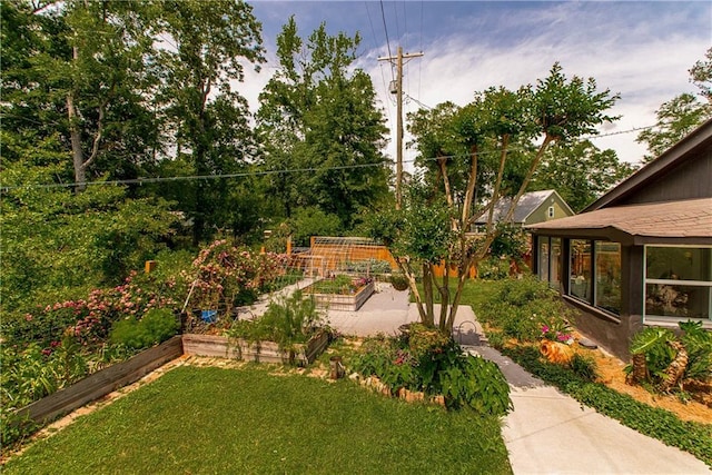 view of yard featuring a garden