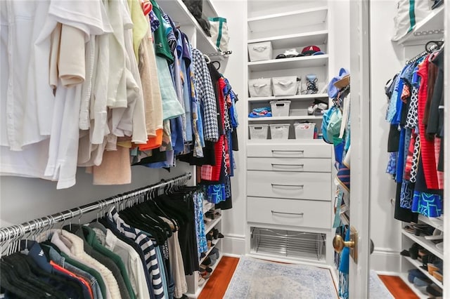 5934 Chestnut St, New Orleans, LA 70118 - view of spacious closet
