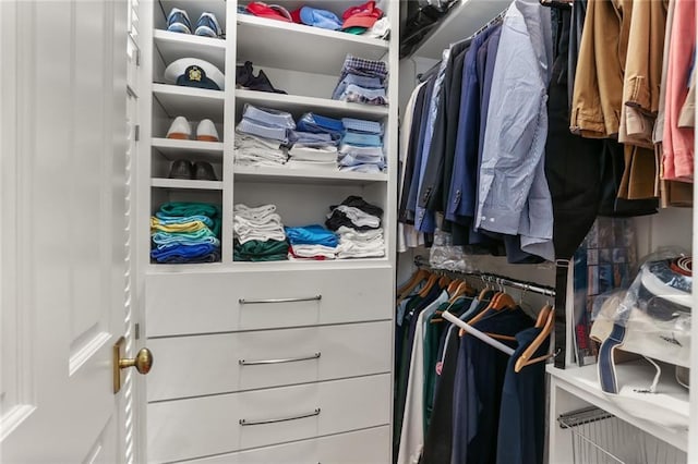 5934 Chestnut St, New Orleans, LA 70118 - view of spacious closet