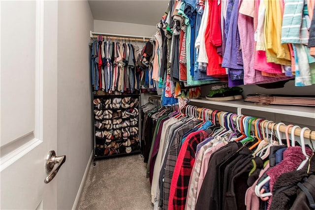 2329 Bradbury Pl, Covington, LA 70433 - walk in closet with carpet flooring