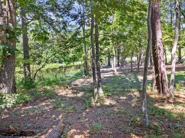 8063 Winners Cir, Mandeville, LA 70448 - view of nature