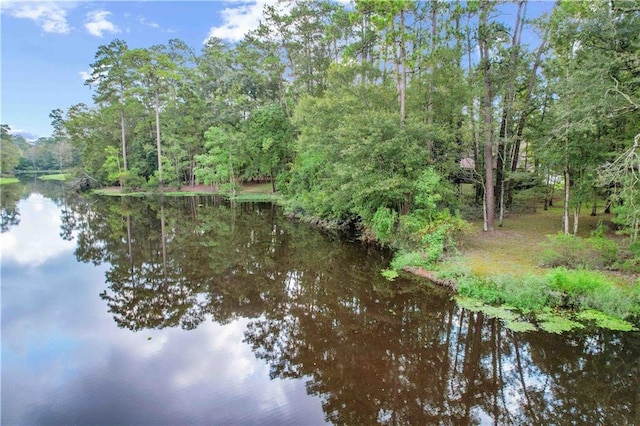 8063 Winners Cir, Mandeville, LA 70448 - water view with a heavily wooded area