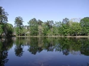 8063 Winners Cir, Mandeville, LA 70448 - water view with a forest