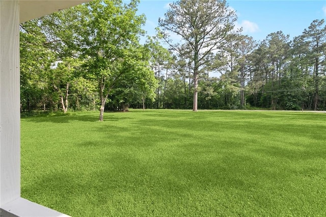 22536 Hoffman Rd, Mandeville, LA 70471 - photo 16