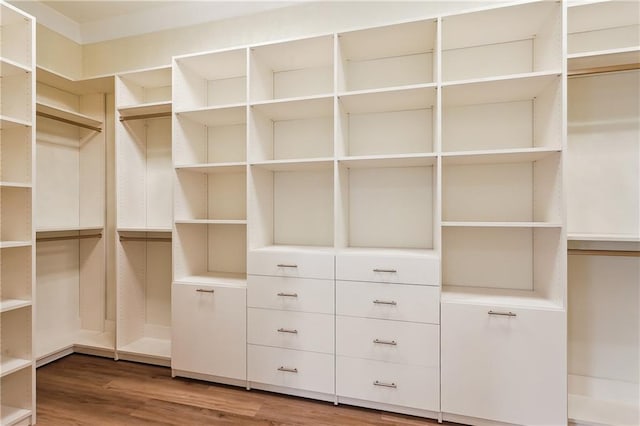 spacious closet featuring wood finished floors