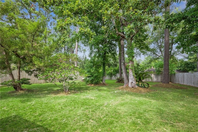 444 Water Oak Ln, Mandeville, LA 70471 - photo 10