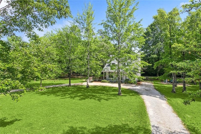 view of home's community with a yard