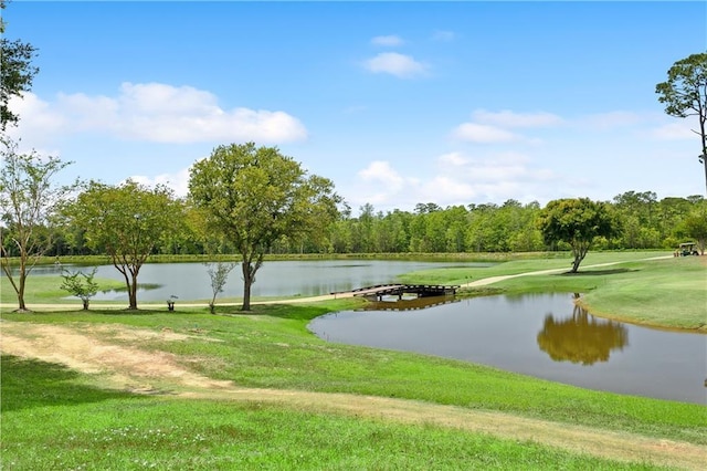 view of home's community with a lawn and a water view