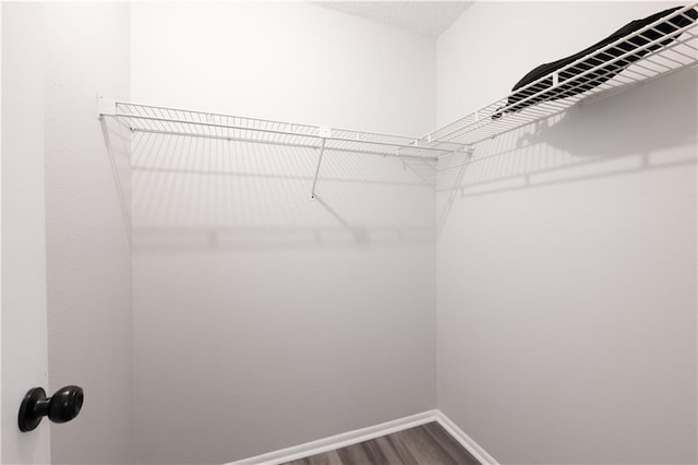 spacious closet featuring dark wood-style floors
