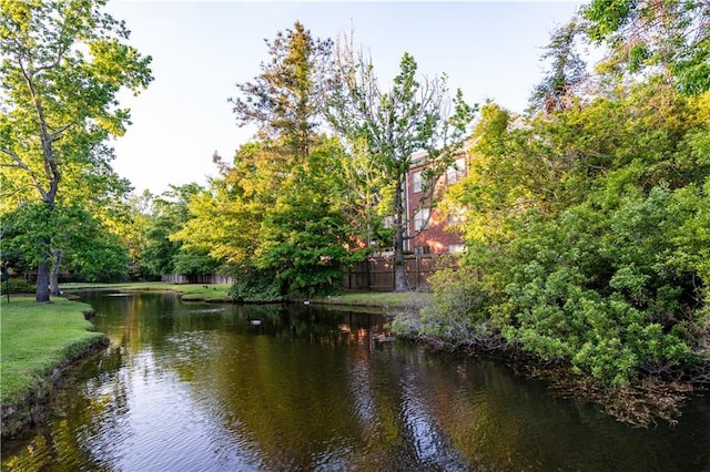 property view of water