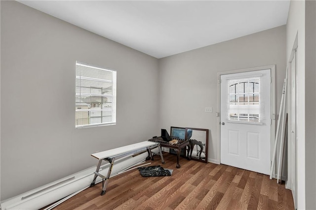 foyer featuring a wealth of natural light and wood finished floors