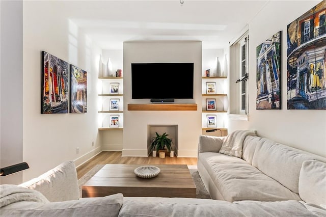 living room with baseboards, wood finished floors, and a fireplace