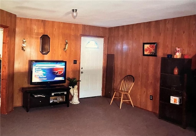 interior space with wood walls and carpet floors