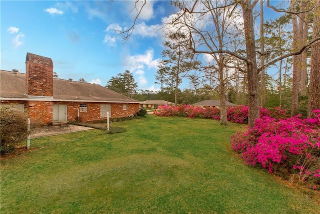 view of yard featuring a patio